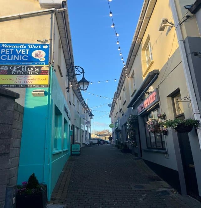 Festoon lighting across a narrow street of shopfronts in Newcastle West